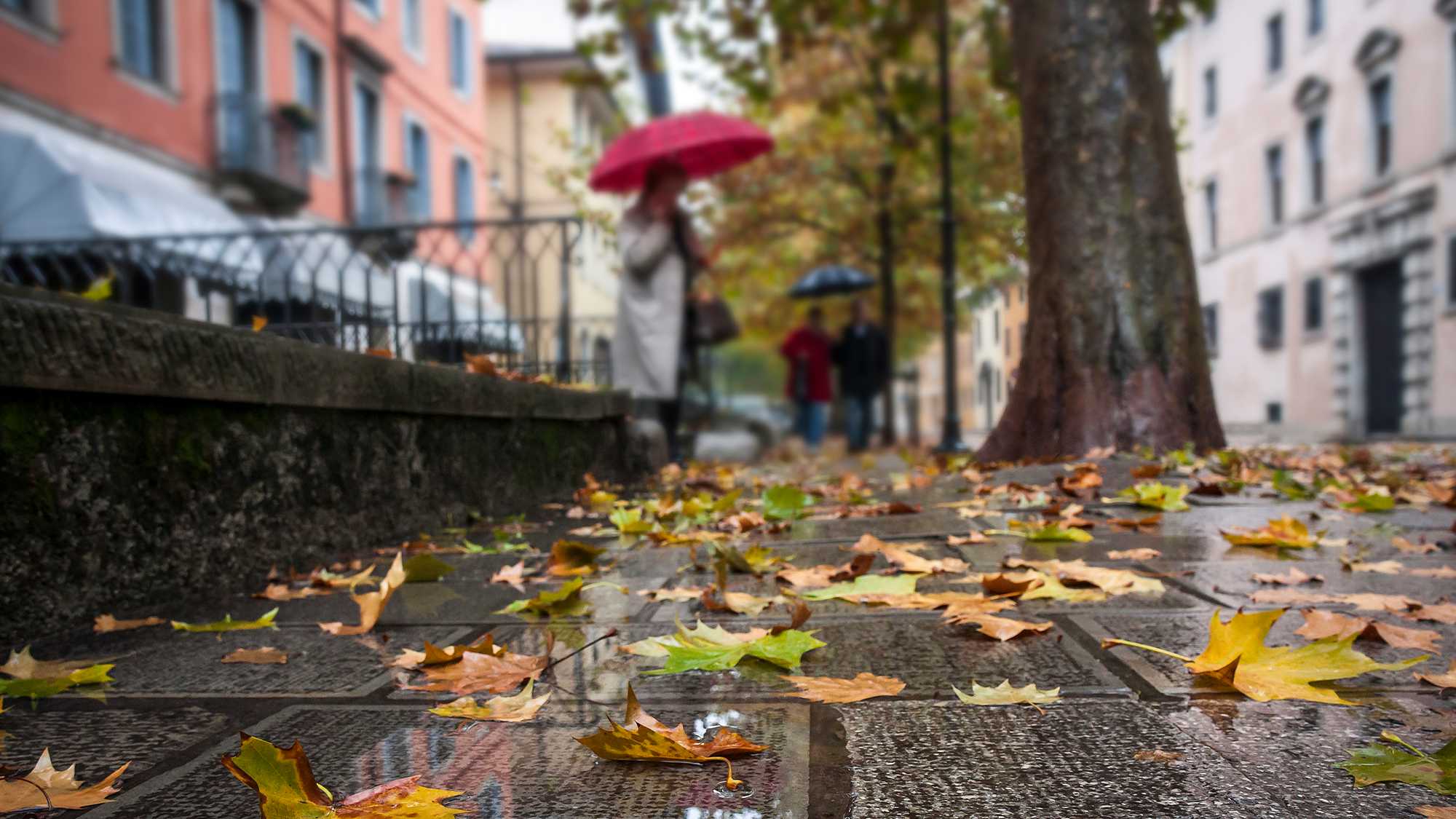 Main-Image-Rain-Risk